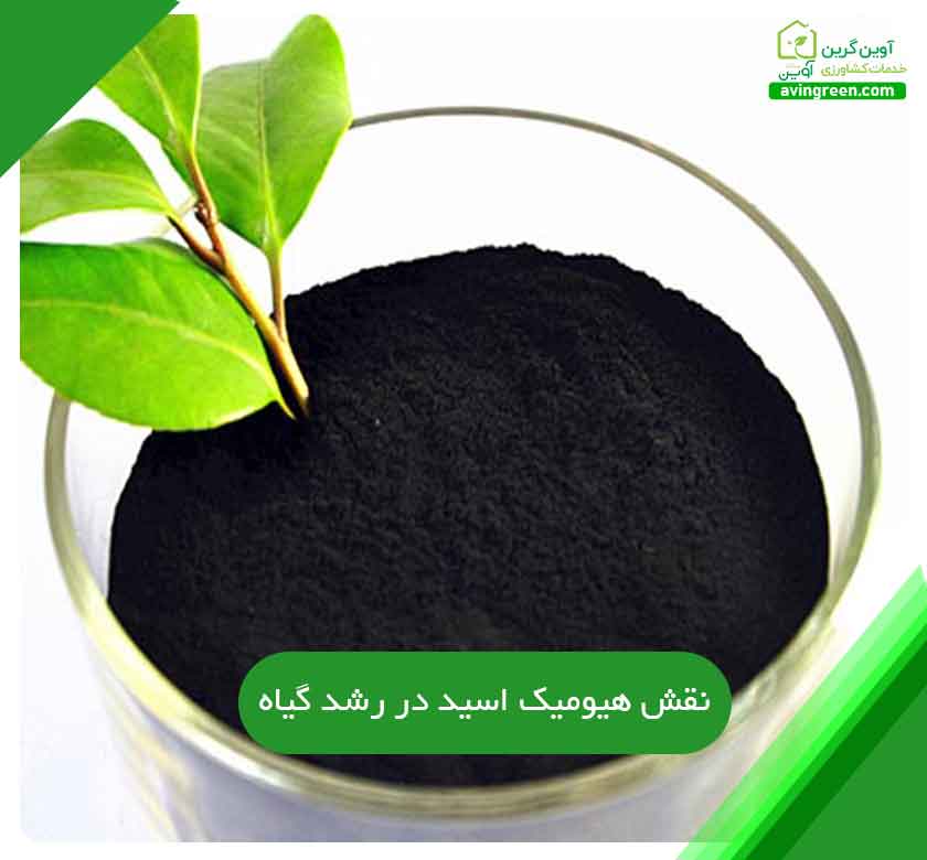 نقش هیومیک اسید در رشد گیاه