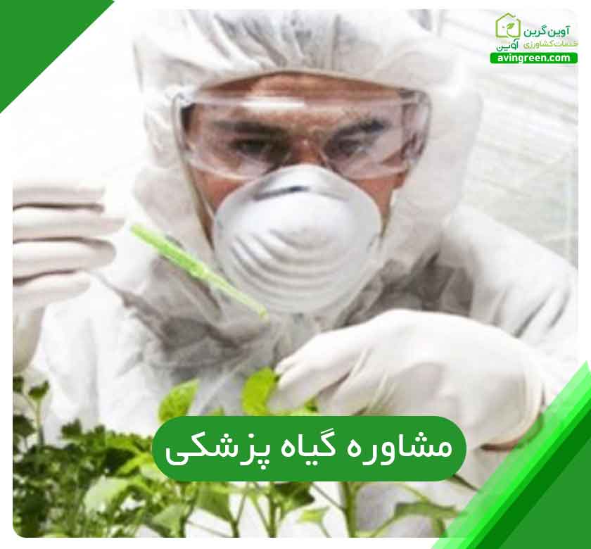 مشاوره گیاه پزشکی