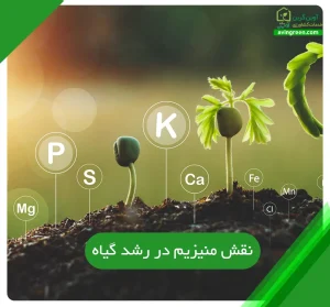نقش منیزیم در رشد گیاه