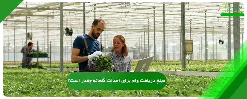 مبلغ دریافت وام برای احداث گلخانه چقدر است؟