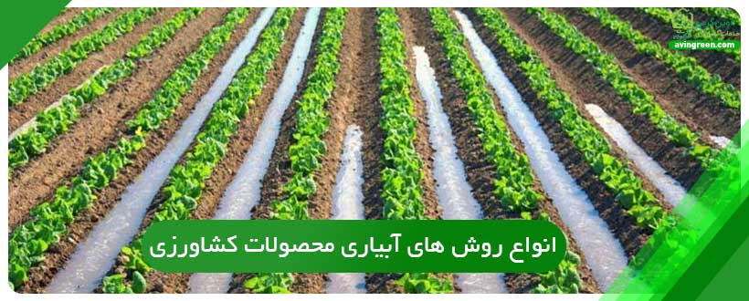 انواع روش ‌های آبیاری محصولات کشاورزی