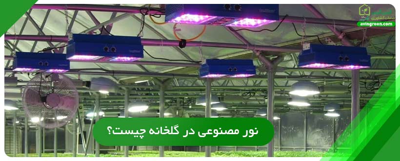 نور مصنوعی در گلخانه چیست؟