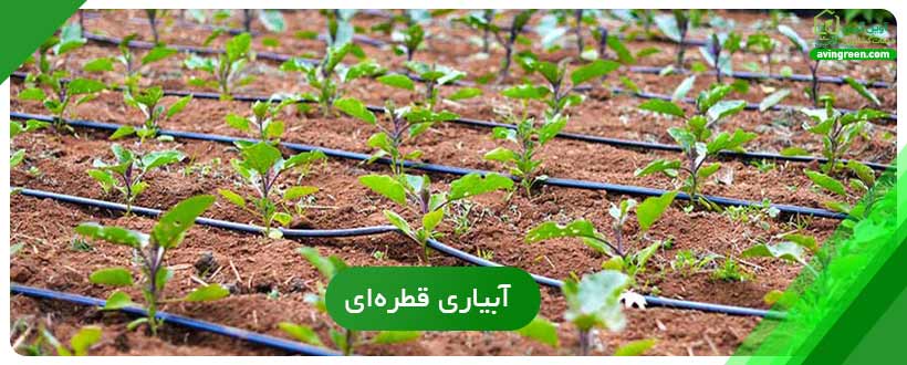 آبیاری قطره‌ای