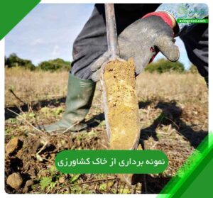 نمونه برداری از خاک کشاورزی