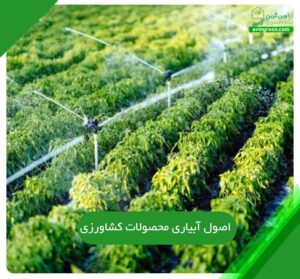 اصول آبیاری محصولات کشاورزی