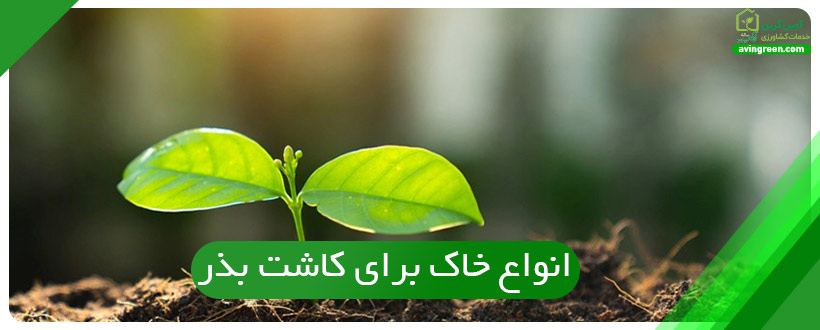 انواع خاک برای کاشت بذر