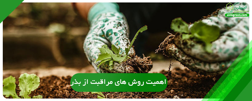 اهمیت روش ‌های مراقبت از بذر