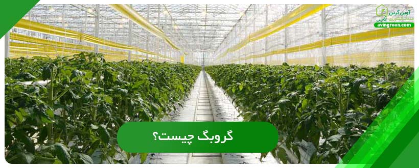 گروبگ چیست؟