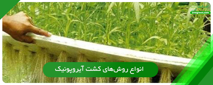 انواع روش‌های کشت آیروپونیک