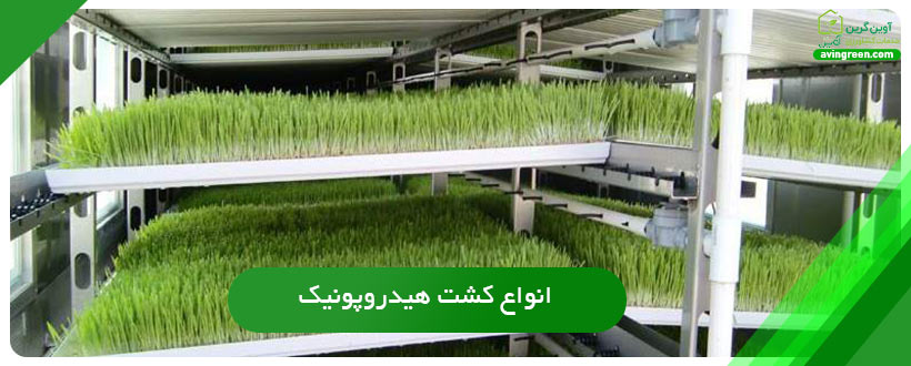 انواع کشت هیدروپونیک