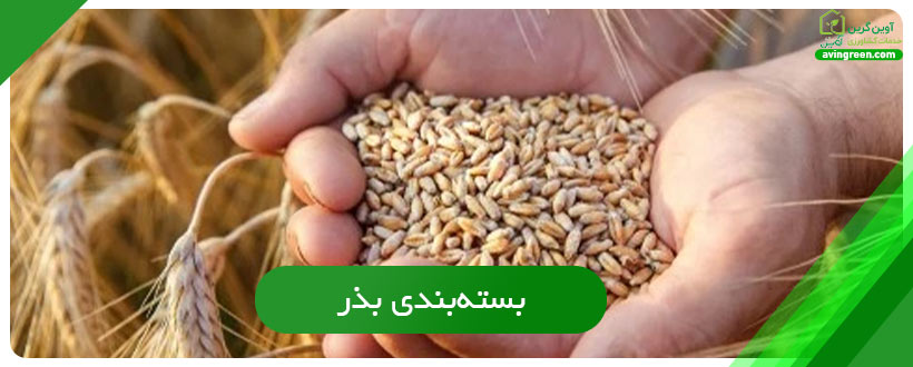 بسته‌بندی بذر