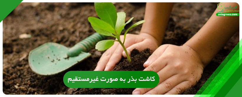 کاشت بذر به صورت غیرمستقیم