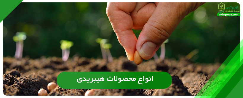 انواع محصولات هیبریدی