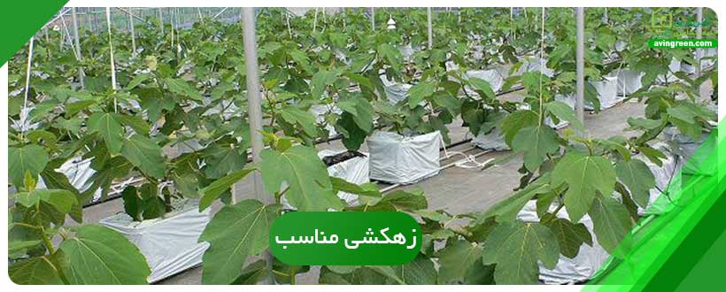 زهکشی مناسب