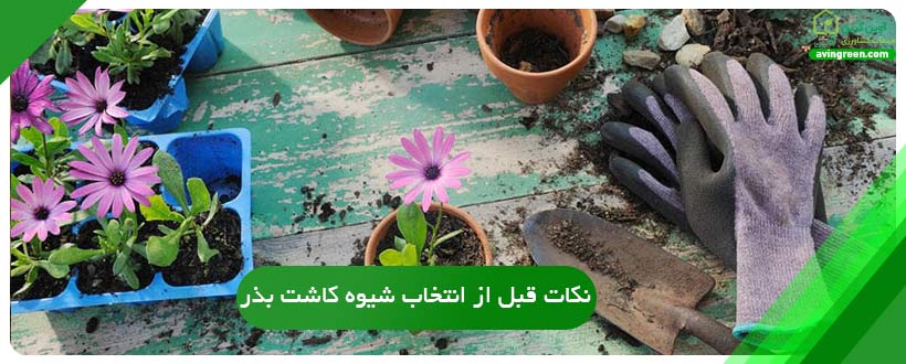 نکات قبل از انتخاب شیوه کاشت بذر