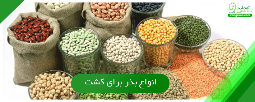 انواع بذر برای کشت