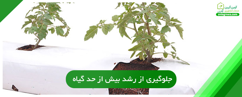 جلوگیری از رشد بیش از حد گیاه