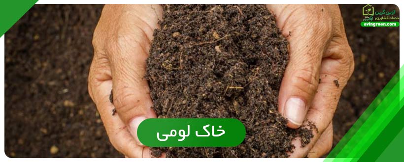 خاک لومی