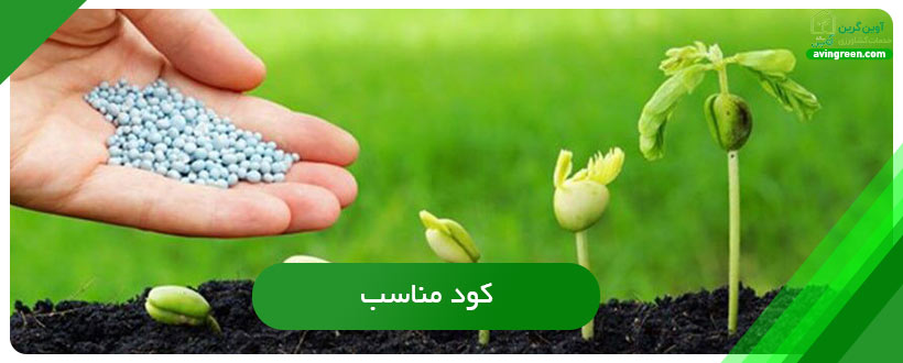 کود مناسب