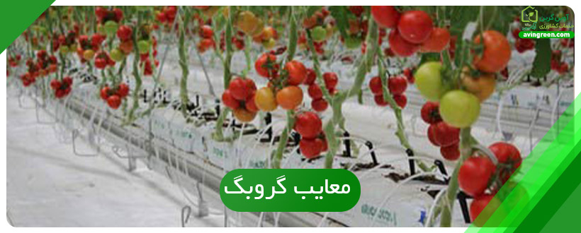 معایب گروبگ