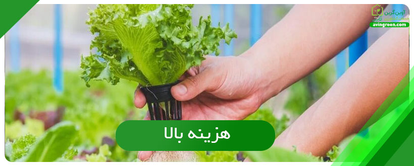 هزینه بالا