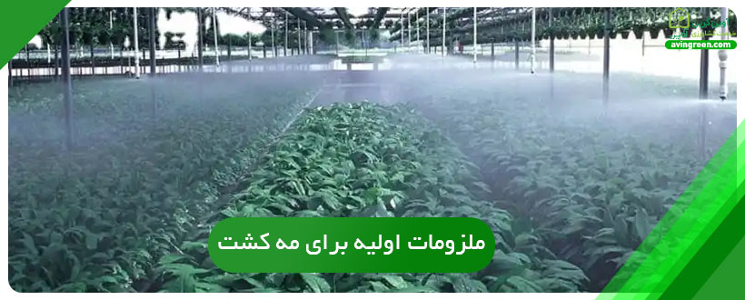 ملزومات اولیه برای مه کشت