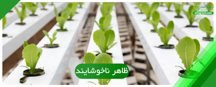 ظاهر ناخوشایند