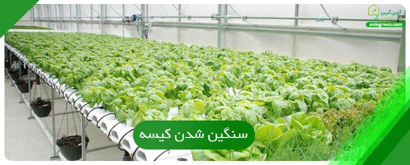 سنگین شدن کیسه