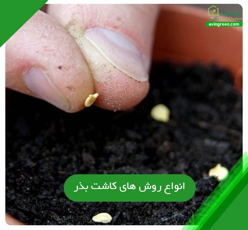انواع روش های کاشت بذر
