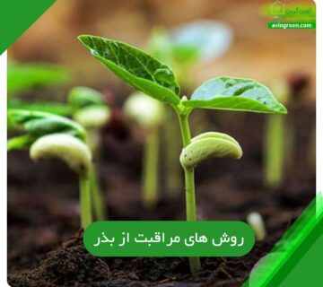 روش ‌های مراقبت از بذر