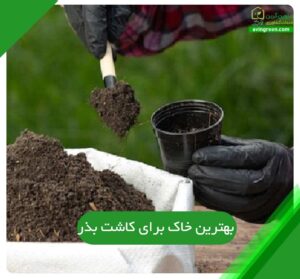 بهترین خاک برای کاشت بذر