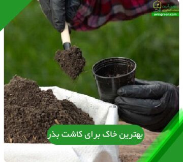 بهترین خاک برای کاشت بذر