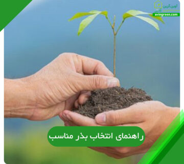 راهنمای انتخاب بذر مناسب