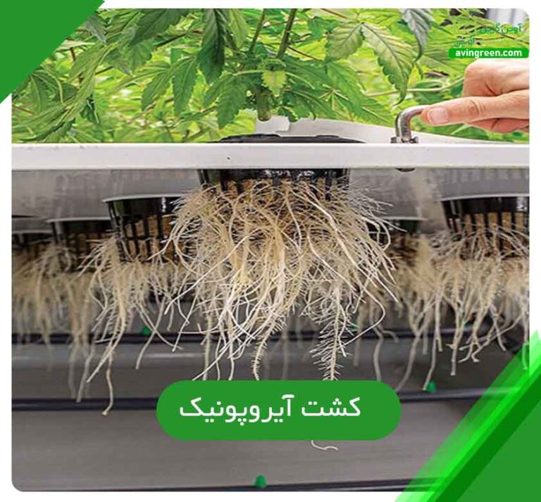 آموزش کشت آیروپونیک یا هواکشت به 3 روش + مزایای این روش