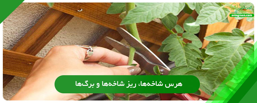 هرس شاخه‌ها، ریز شاخه‌ها و برگ‌ها