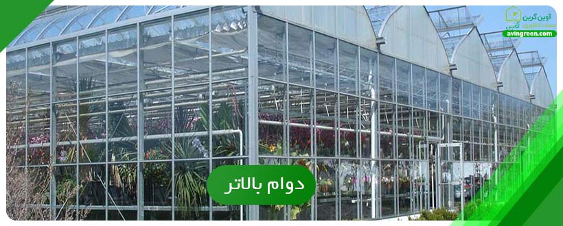 دوام بالاتر
