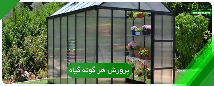 پرورش هر گونه گیاه