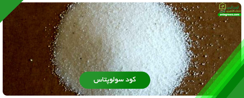کود سولوپتاس