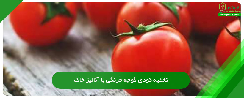 تغذیه کودی گوجه فرنگی با آنالیز خاک