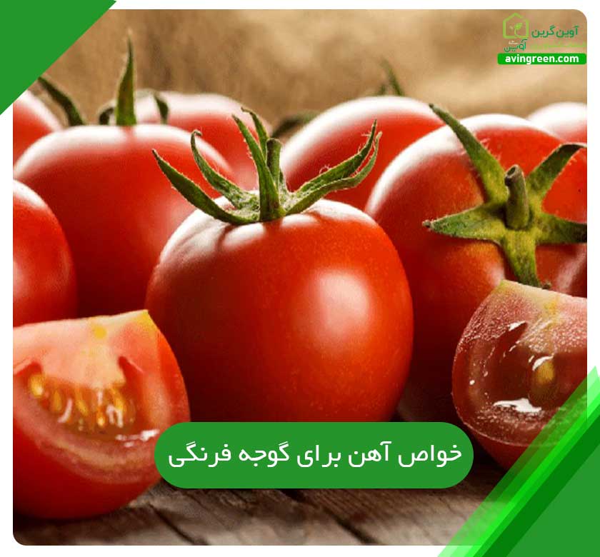 خواص آهن برای گوجه فرنگی