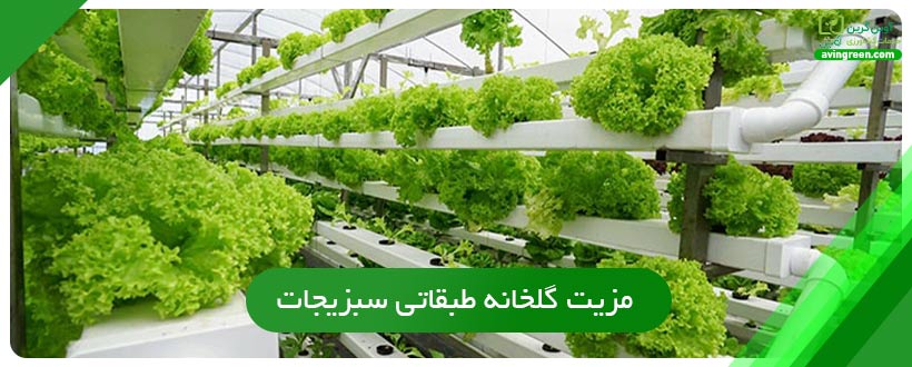 مزیت گلخانه طبقاتی سبزیجات