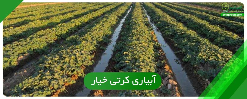 آبیاری کرتی خیار