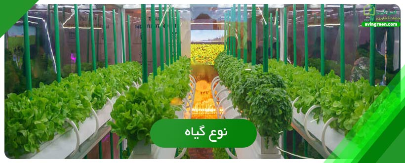 نوع گیاه