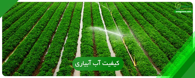 کیفیت آب آبیاری