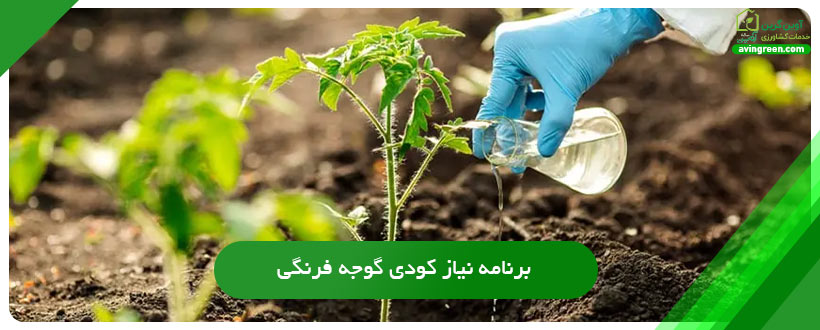 برنامه نیاز کودی گوجه فرنگی