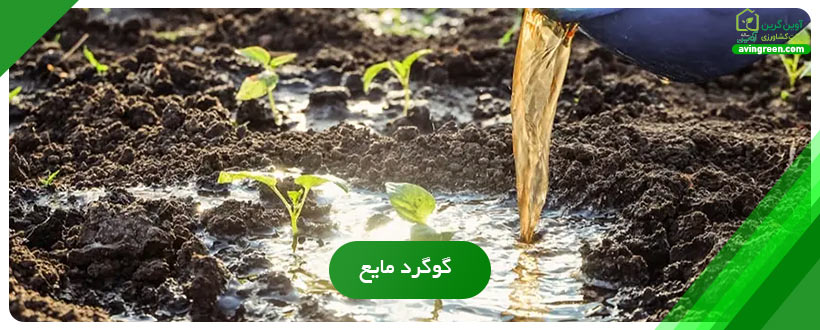 گوگرد مایع