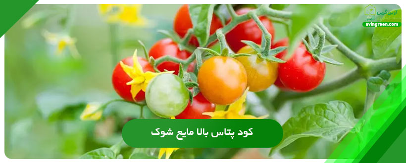کود پتاس بالا مایع شوک