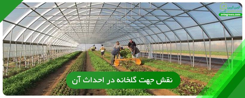 نقش جهت گلخانه در احداث آن