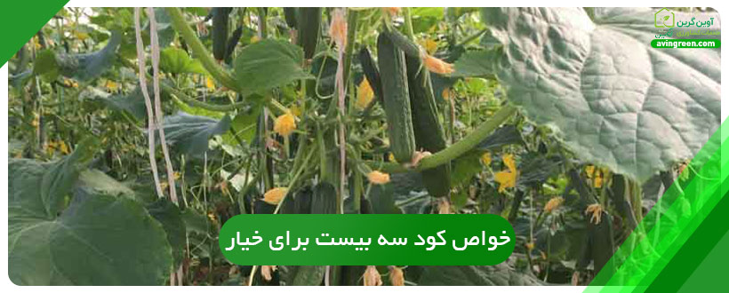 خواص کود سه بیست برای خیار