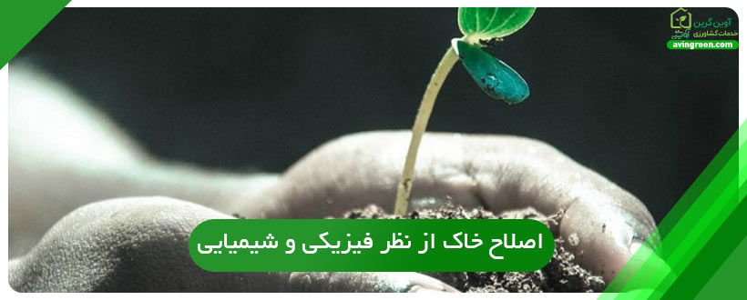 راه‌های تغذیه و افزایش باردهی خیار گلخانه ای